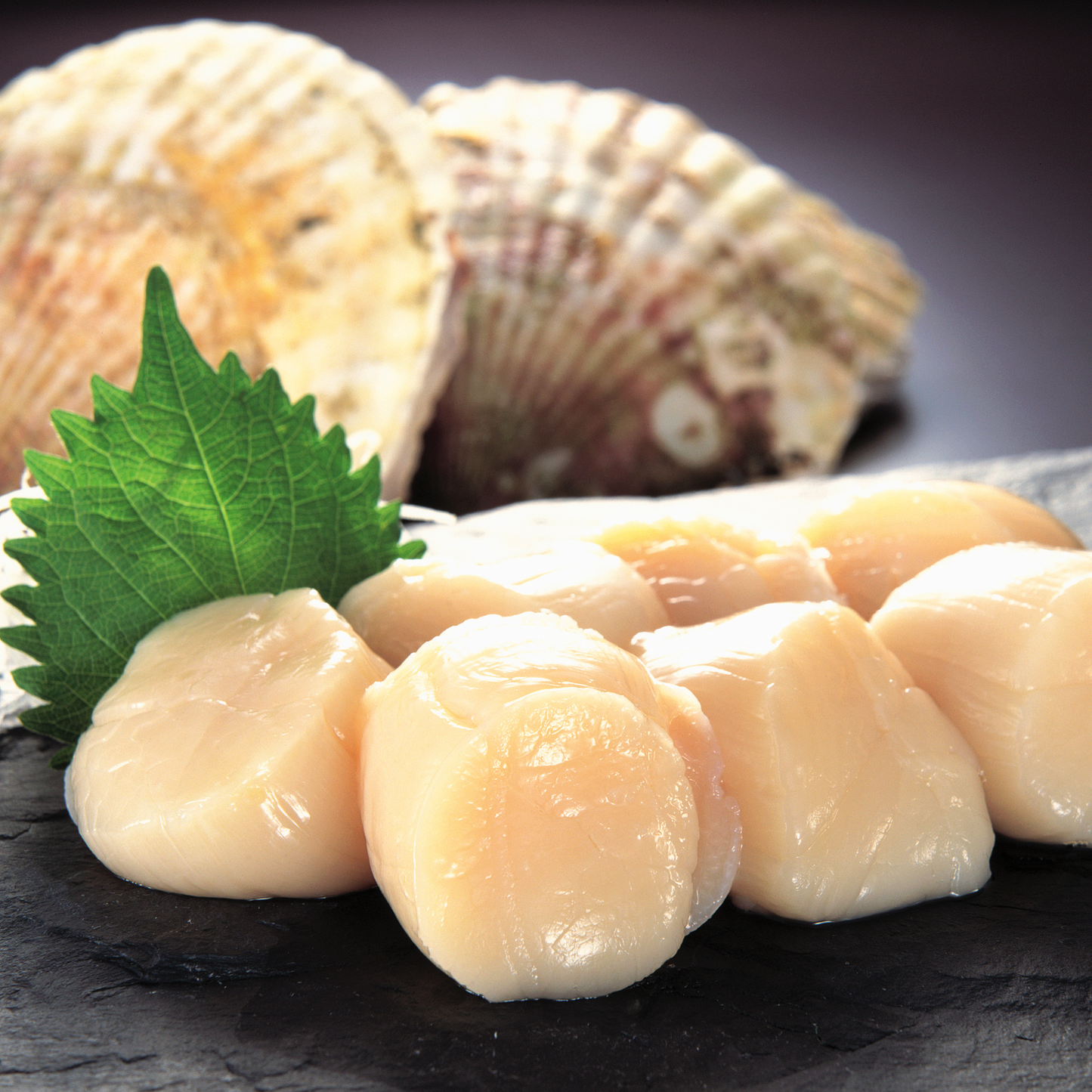 Frozen Roeless Scallops (250g)