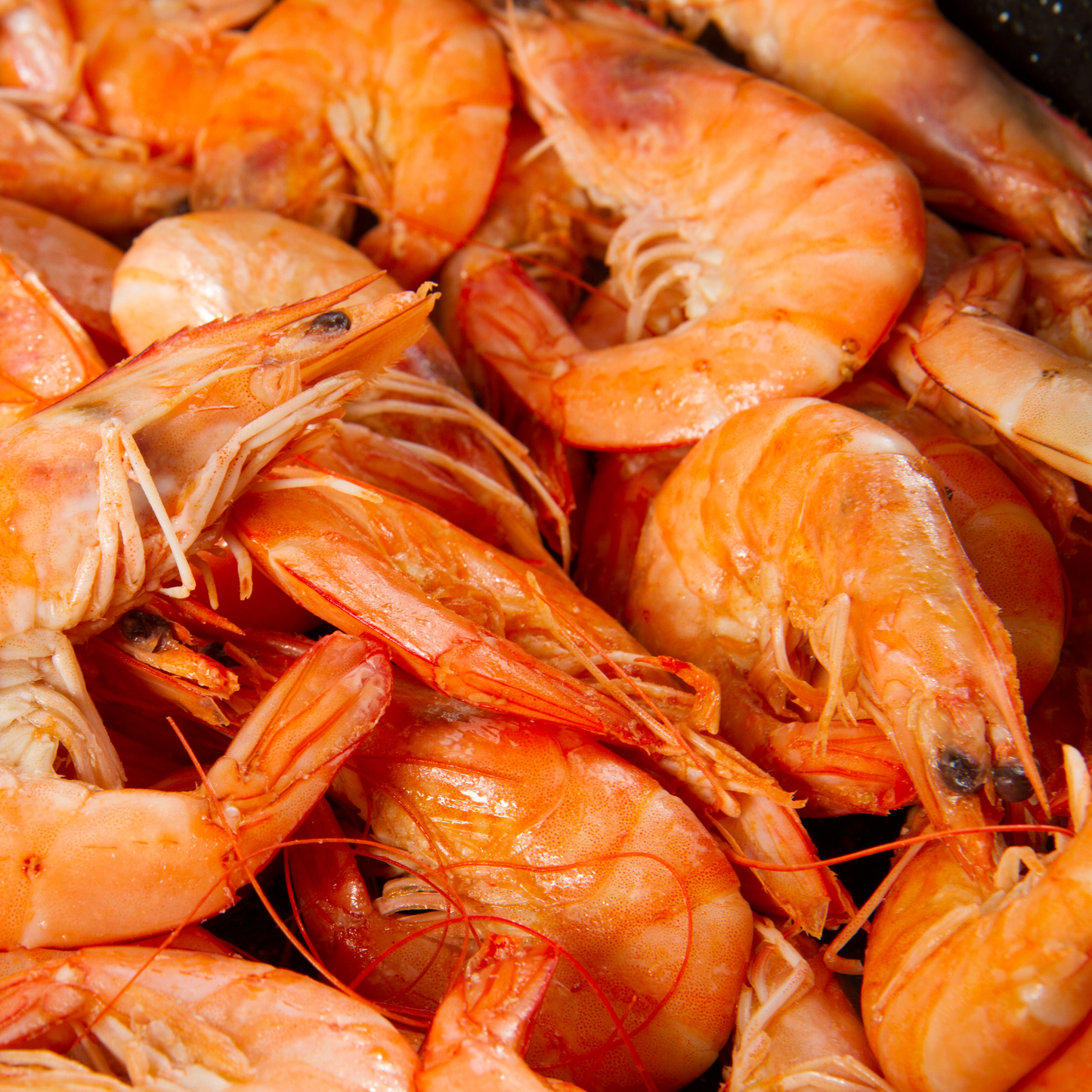 Frozen Shell-On Cooked King Prawns