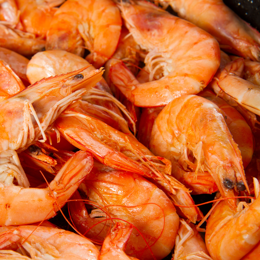 Frozen Shell-On Cooked King Prawns