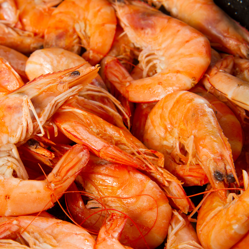 Frozen Shell-On Cooked King Prawns