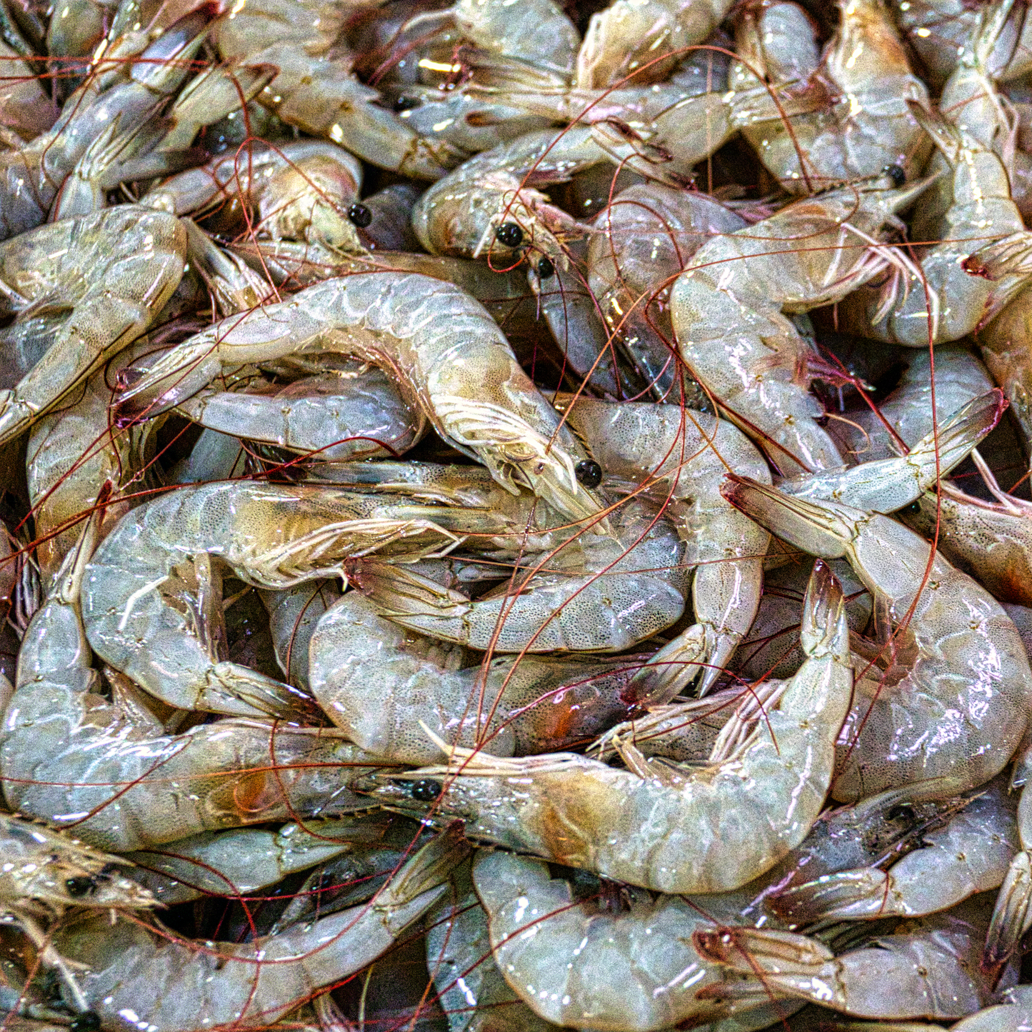Frozen Raw Whole King Prawns (350g)