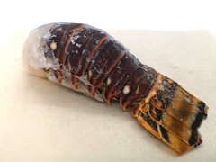 Frozen Lobster Tail (170g) - The Fresh Fish Shop UK