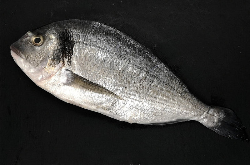 Whole Seabream (350g) - The Fresh Fish Shop UK