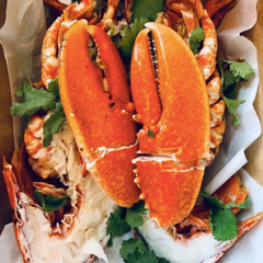 Cooked & Cracked Lobster