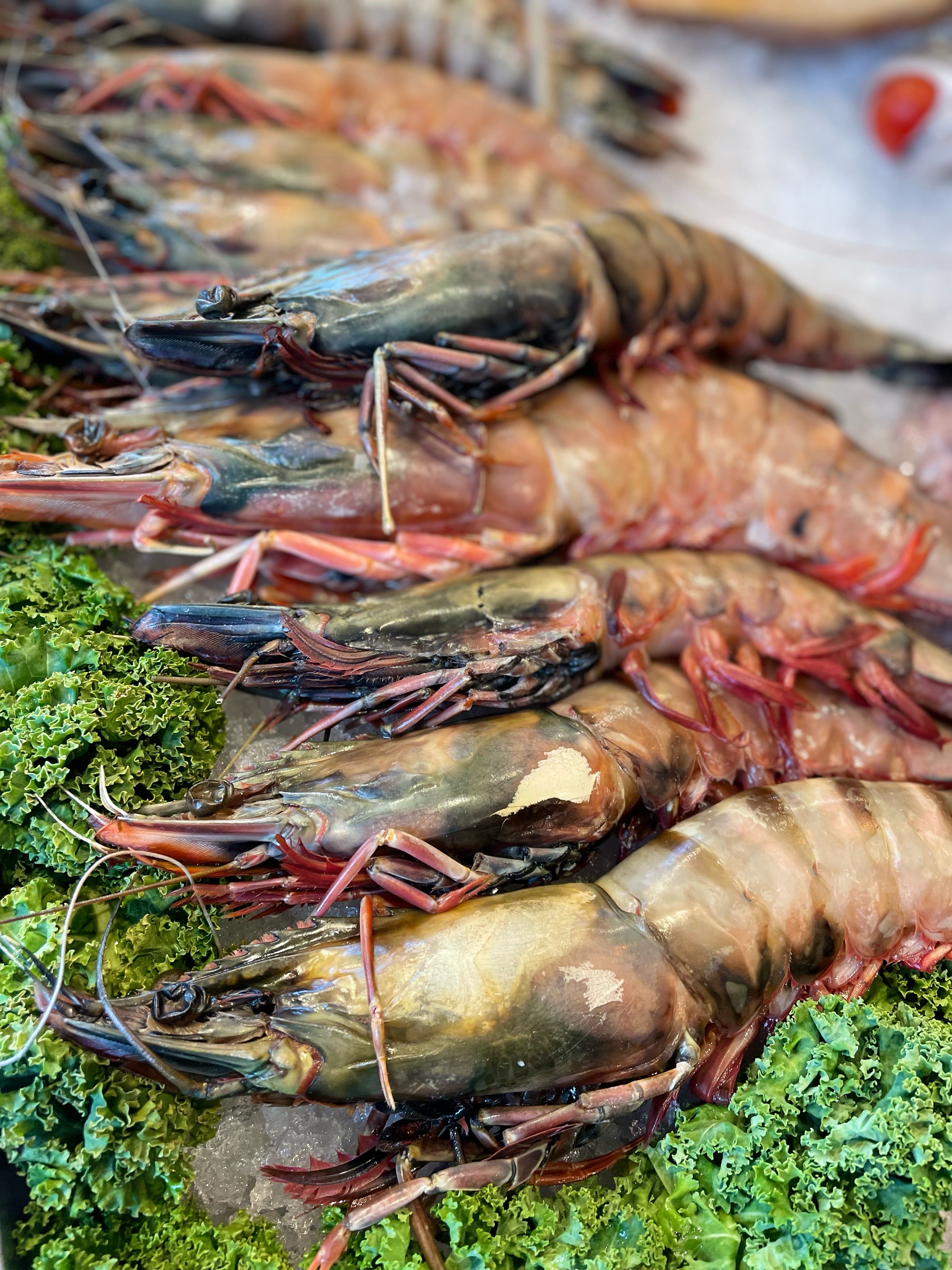Fresh prawns best sale