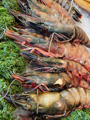 Frozen Wild King Prawns