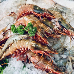 Wild Whole King Prawns - The Fresh Fish Shop UK