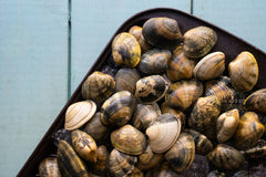 FRESH CLAMS ONLINE FISHMONGER