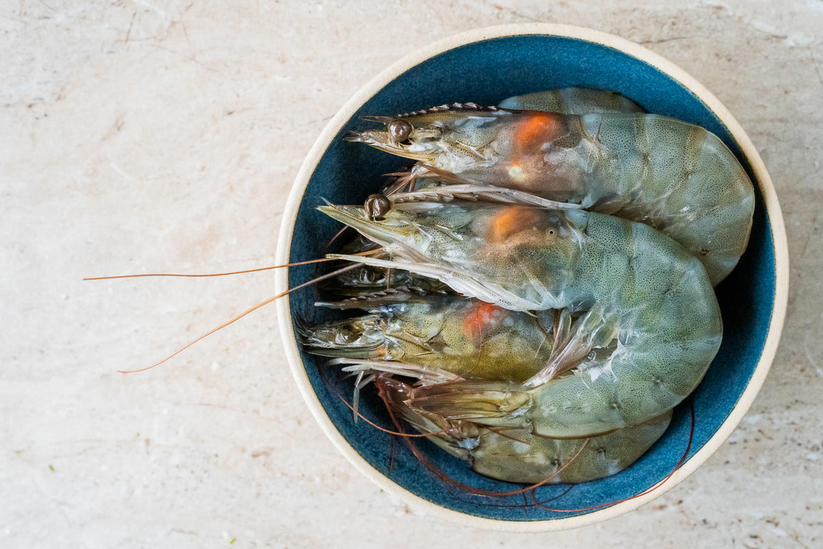 Prawn Fresh Shell Shell-On King Prawns (250g-1kg) – The Fresh Fish Shop UK