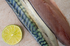 Mackerel Fillets (200g) - The Fresh Fish Shop UK