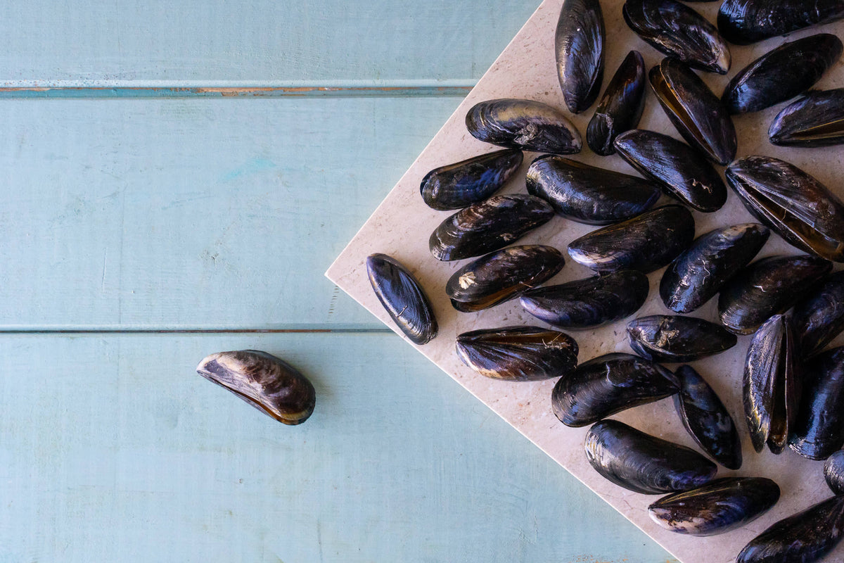 Mussels (1kg) - Serves 2-4 – The Fresh Fish Shop UK