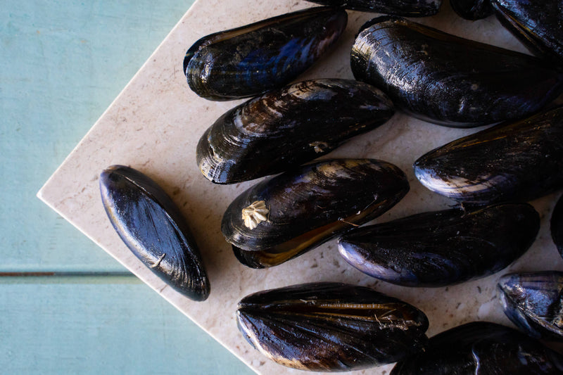 Mussels (1kg) - The Fresh Fish Shop UK