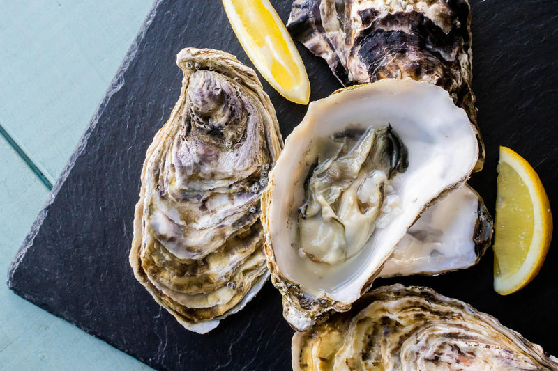 Oysters - The Fresh Fish Shop UK
