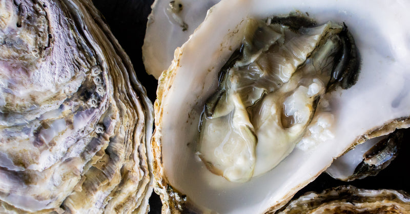 Oysters - The Fresh Fish Shop UK