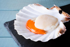 Scottish Hand Dived King Scallops - The Fresh Fish Shop UK