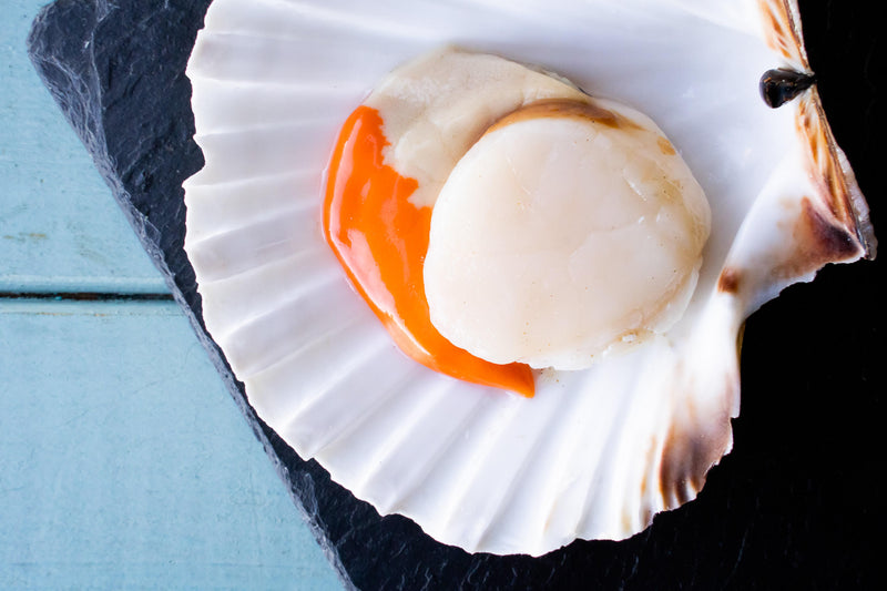 Scottish Hand Dived King Scallops - The Fresh Fish Shop UK