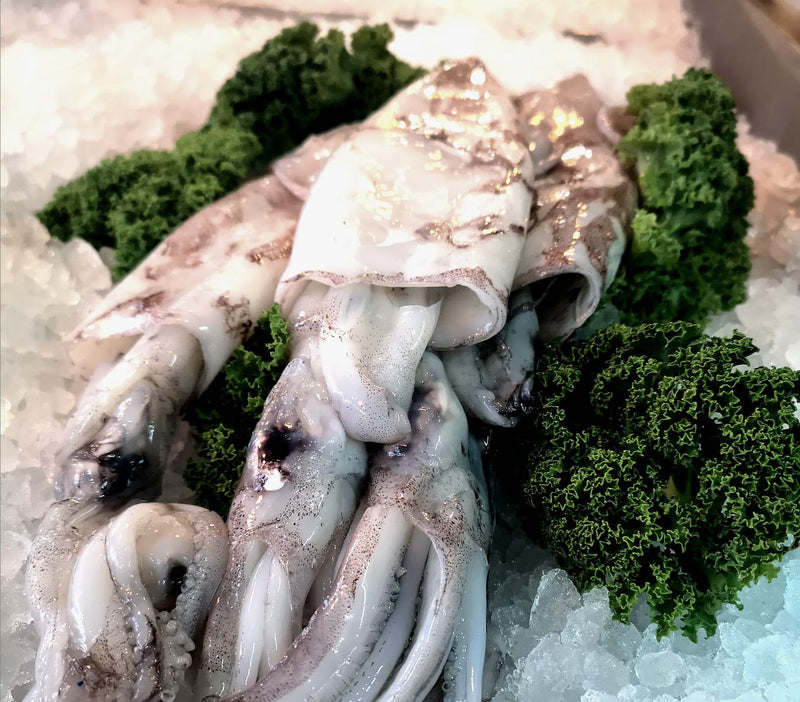 Cleaned Whole Squid (200g) - The Fresh Fish Shop UK